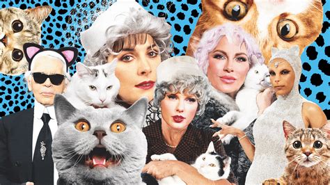 childless cat ladies video.